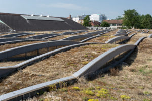 green roof, form, waves, windows green roof, form, waves, windows